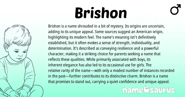 Infographic about Brishon name meaning, Brishon is a name from American origin(s).