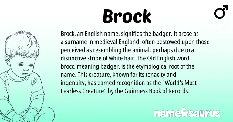 Infographic about Brock name meaning, Brock is a name from Old English, English, England origin(s).