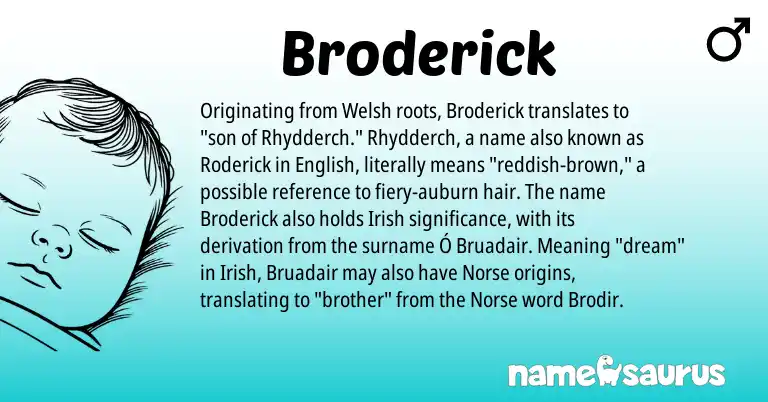 Infographic about Broderick name meaning, Broderick is a name from Irish, English, Welsh, Norse origin(s).