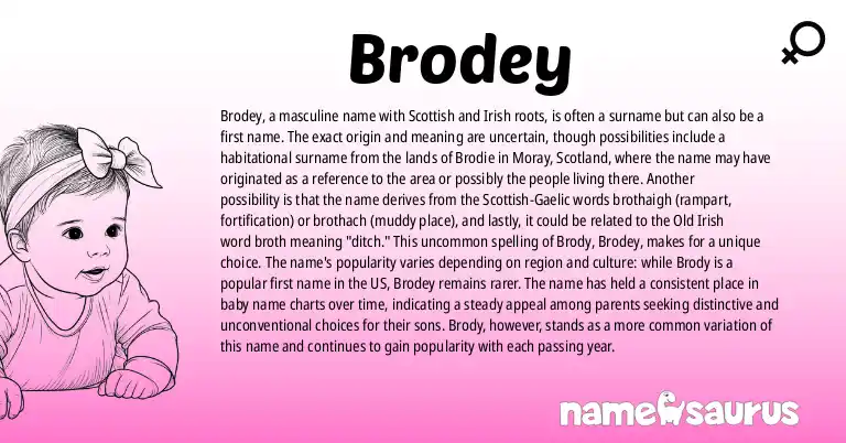Infographic about Brodey name meaning, Brodey is a name from Scottish, Irish origin(s).