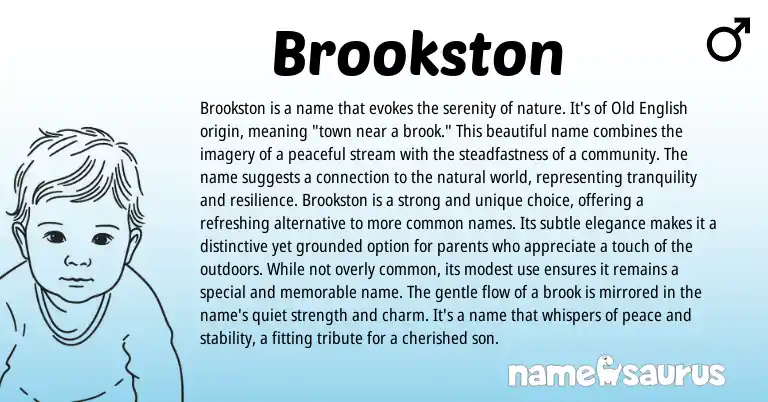Infographic about Brookston name meaning, Brookston is a name from English origin(s).