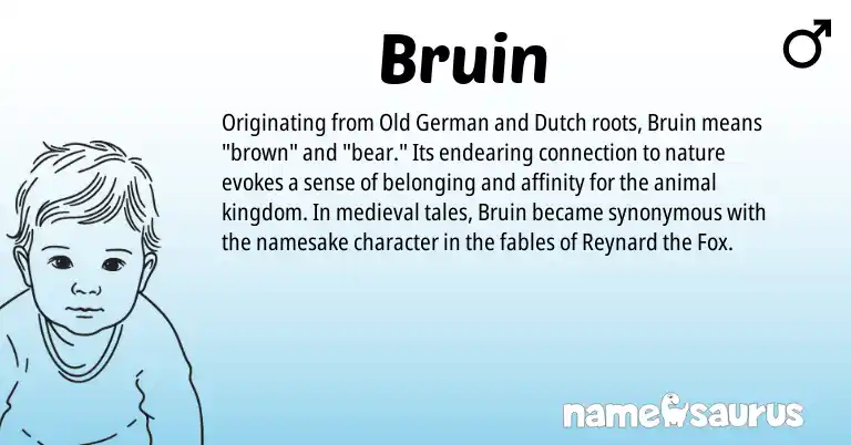 Infographic about Bruin name meaning, Bruin is a name from Old German, Dutch origin(s).