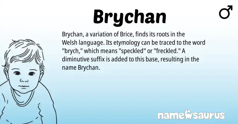 Infographic about Brychan name meaning, Brychan is a name from Welsh origin(s).