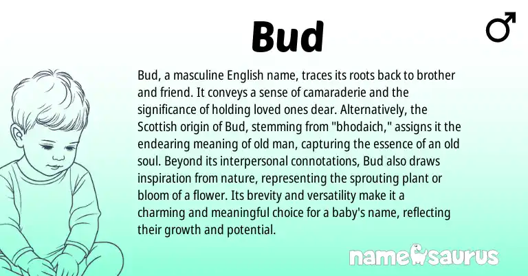 Infographic about Bud name meaning, Bud is a name from English, Scottish origin(s).