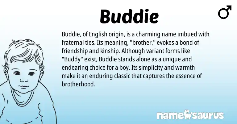 Infographic about Buddie name meaning, Buddie is a name from English origin(s).