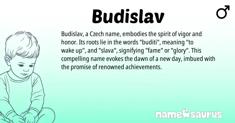 Infographic about Budislav name meaning, Budislav is a name from Czech origin(s).