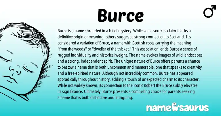 Infographic about Burce name meaning, Burce is a name from Other origin(s).