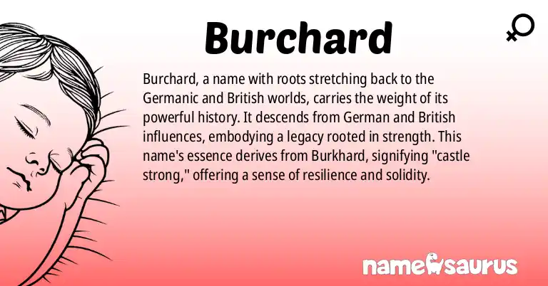 Infographic about Burchard name meaning, Burchard is a name from German, Germanic, British origin(s).