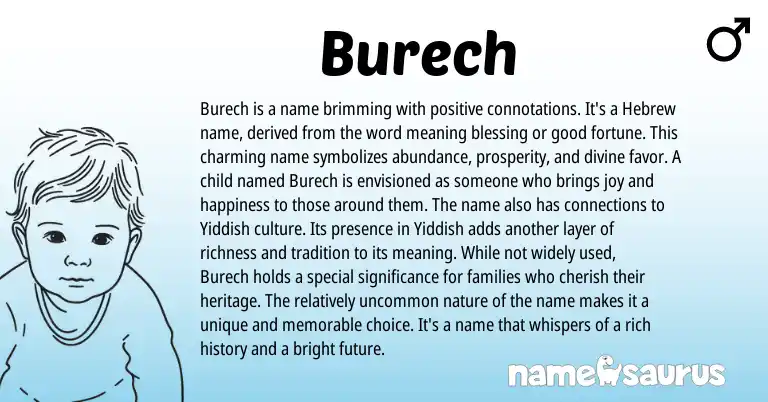 Infographic about Burech name meaning, Burech is a name from Hebrew origin(s).