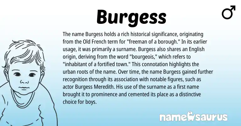 Infographic about Burgess name meaning, Burgess is a name from English, Old French origin(s).