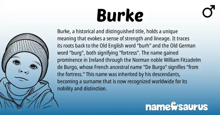 Infographic about Burke name meaning, Burke is a name from Ireland, French, Old German, Old English, Norman origin(s).