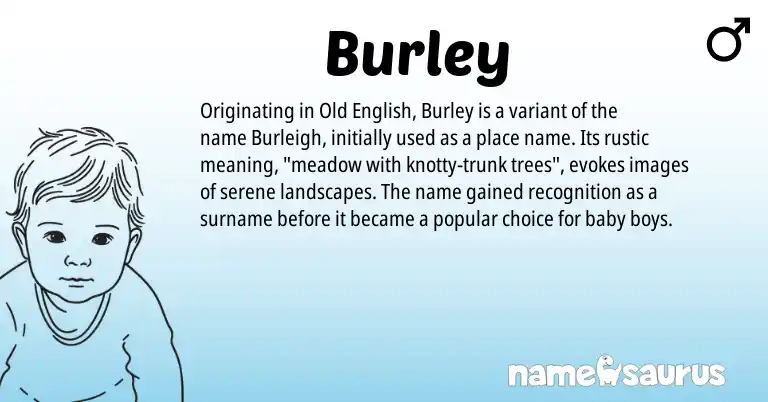 Infographic about Burley name meaning, Burley is a name from Old English origin(s).