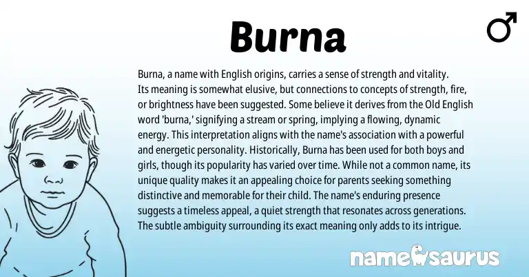 Infographic about Burna name meaning, Burna is a name from English origin(s).