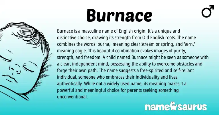 Infographic about Burnace name meaning, Burnace is a name from English origin(s).