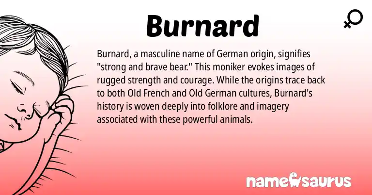 Infographic about Burnard name meaning, Burnard is a name from German origin(s).