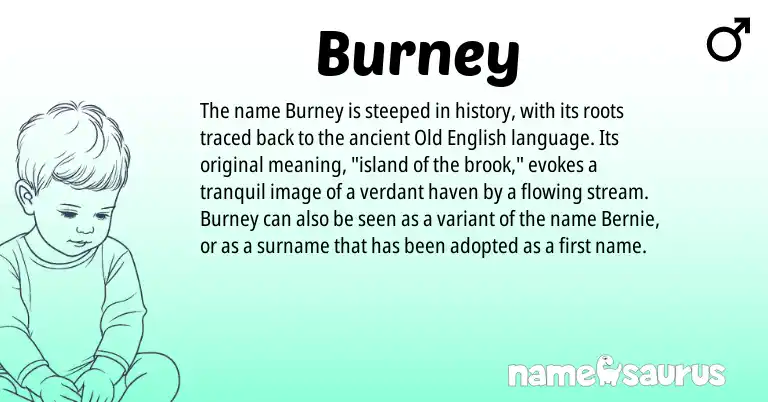 Infographic about Burney name meaning, Burney is a name from Old English origin(s).