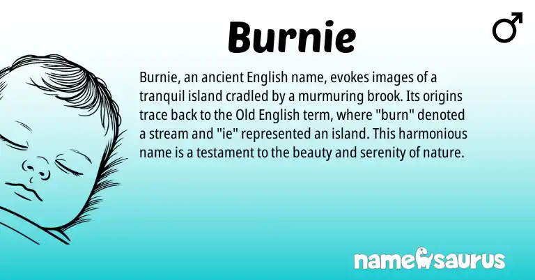 Infographic about Burnie name meaning, Burnie is a name from Old English, English origin(s).