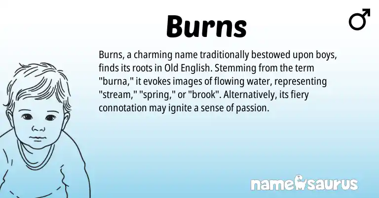 Infographic about Burns name meaning, Burns is a name from Old English origin(s).
