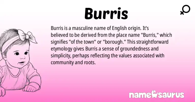 Infographic about Burris name meaning, Burris is a name from English origin(s).