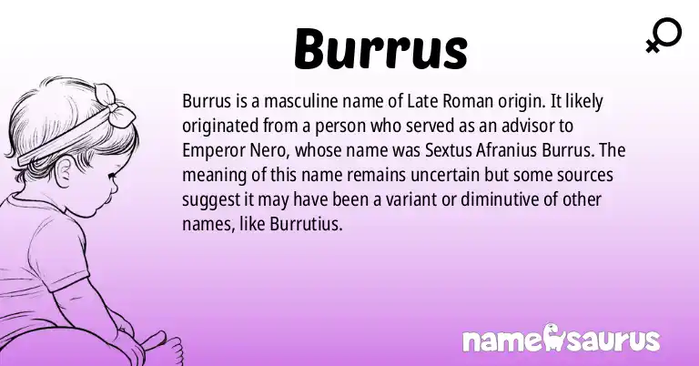 Infographic about Burrus name meaning, Burrus is a name from Late Roman origin(s).