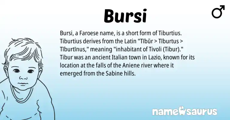 Infographic about Bursi name meaning, Bursi is a name from Faroese, Latin, Italian origin(s).