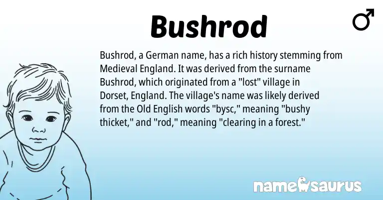 Infographic about Bushrod name meaning, Bushrod is a name from German, Old English, England origin(s).