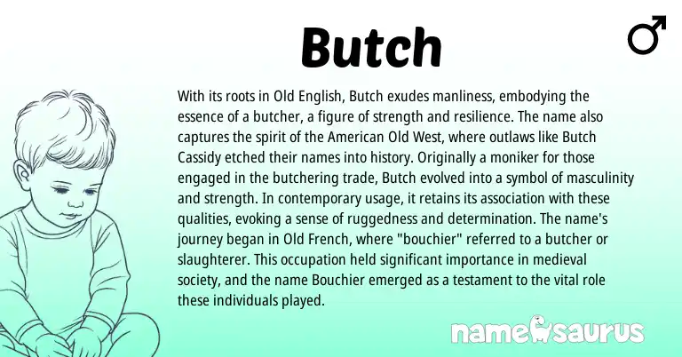 Infographic about Butch name meaning, Butch is a name from Old English, American, Old French origin(s).