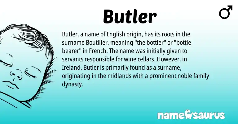 Infographic about Butler name meaning, Butler is a name from English, French, Ireland origin(s).