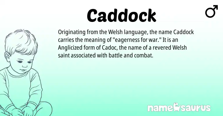 Infographic about Caddock name meaning, Caddock is a name from Welsh origin(s).