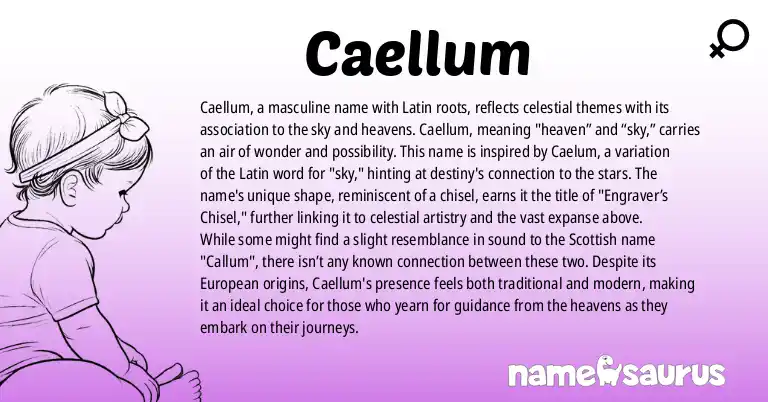 Infographic about Caellum name meaning, Caellum is a name from Latin origin(s).