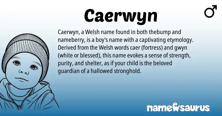 Infographic about Caerwyn name meaning, Caerwyn is a name from Welsh origin(s).