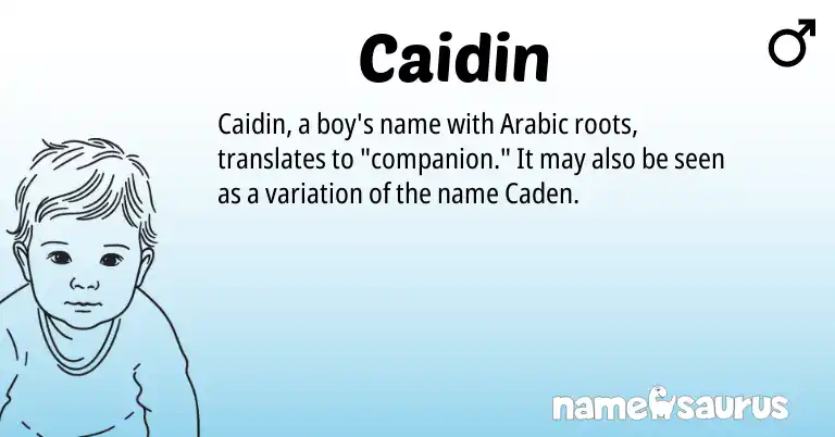 Infographic about Caidin name meaning, Caidin is a name from Arabic origin(s).