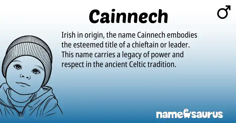 Infographic about Cainnech name meaning, Cainnech is a name from Irish, Celtic origin(s).