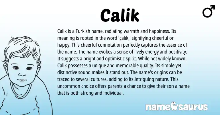 Infographic about Calik name meaning, Calik is a name from Turkish origin(s).