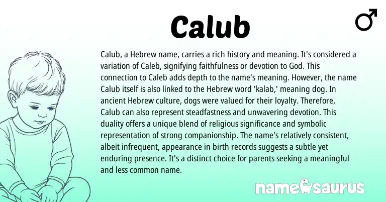 Infographic about Calub name meaning, Calub is a name from Hebrew, English origin(s).