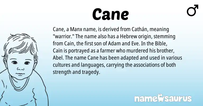 Infographic about Cane name meaning, Cane is a name from Manx, Hebrew origin(s).