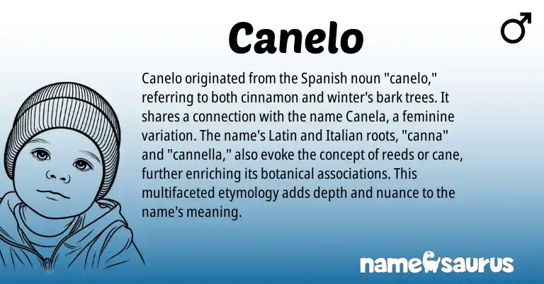 Infographic about Canelo name meaning, Canelo is a name from Spanish, Latin, Italian origin(s).