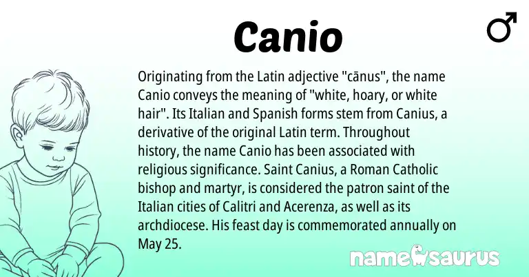 Infographic about Canio name meaning, Canio is a name from Roman, Spanish, Latin, Italian origin(s).