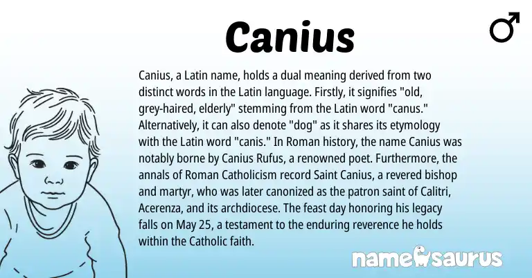 Infographic about Canius name meaning, Canius is a name from Roman, Latin origin(s).