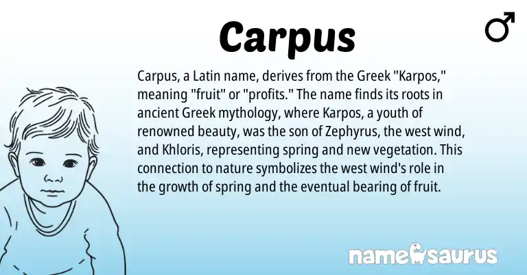 Infographic about Carpus name meaning, Carpus is a name from Latin, Greek origin(s).