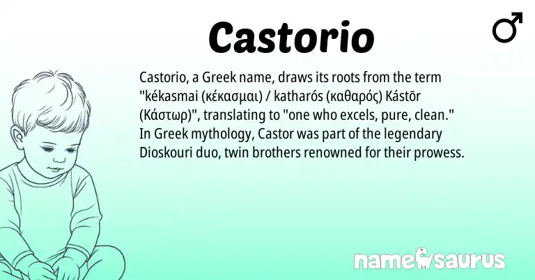 Infographic about Castorio name meaning, Castorio is a name from Greek origin(s).