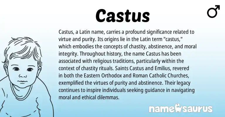 Infographic about Castus name meaning, Castus is a name from Roman, Latin origin(s).