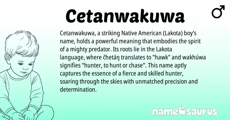 Infographic about Cetanwakuwa name meaning, Cetanwakuwa is a name from Native American, Lakota origin(s).