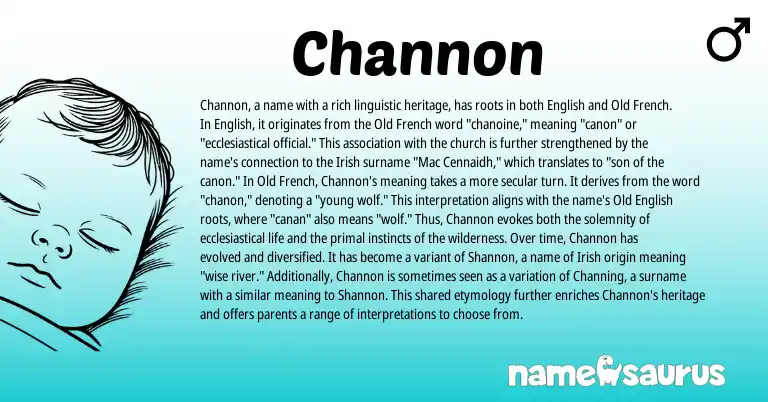 Infographic about Channon name meaning, Channon is a name from Irish, Old English, English, Old French origin(s).