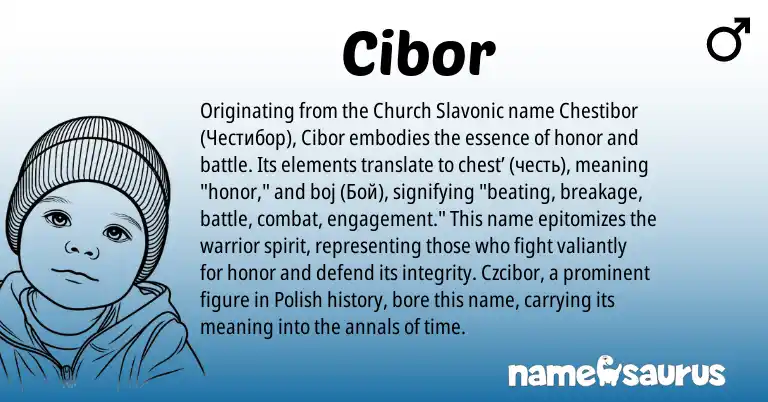 Infographic about Cibor name meaning, Cibor is a name from Polish origin(s).