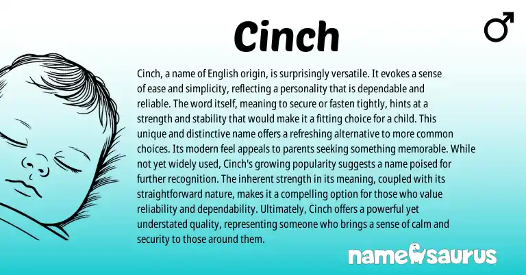 Infographic about Cinch name meaning, Cinch is a name from Other origin(s).