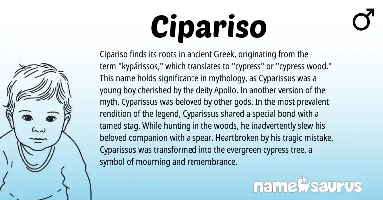 Infographic about Cipariso name meaning, Cipariso is a name from Greek origin(s).