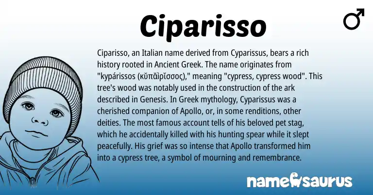 Infographic about Ciparisso name meaning, Ciparisso is a name from Ancient Greek, Greek, Italian origin(s).