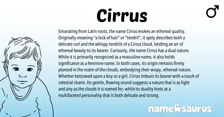 Infographic about Cirrus name meaning, Cirrus is a name from Latin origin(s).
