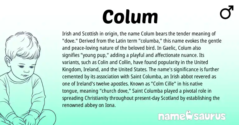 Infographic about Colum name meaning, Colum is a name from Irish, Christianity, United States, Ireland, Gaelic, Latin, United Kingdom, Scottish origin(s).